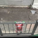 창대커뮤니케이션 | 겨울 계절학기가 끝나고 푹 쉬는 오늘