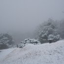 버스정류장 06-157 | 명봉산(171m).서봉산(250m).상방산(154m) 태봉산(225m),달봉산(138m) 건달산(355m)/경기화성