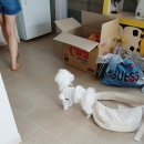 아미르하우스 이미지
