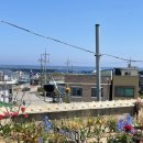 대진항큰집 이미지