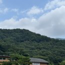 동이손만두 | 전현무계획 포천 만두전골 맛집 동이손만두 내돈내산 후기 (+웨이팅 꿀팁)