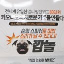 대성카오디오