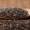 베스트피트니스2 이미지