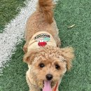 베베그루밍 이미지