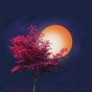 트리트먼트 효과 후기 설명해보겠어요