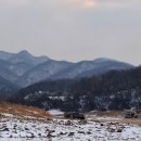 카페더뜰