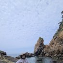 학암포 분점도 이미지