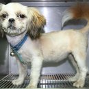 금광동물병원 이미지