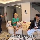 강남 스타투데이