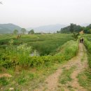 문의초등학교 | 청주 문의 대청호오백리길 20구간, 노현리에서 미천리로 이어지는 호반 산책