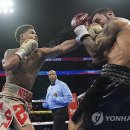 J World boxing 이미지