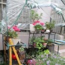 동성공원 이미지