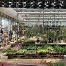 상춘꽃농원 이미지