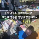 삼패한강공원(벼룩시장)[양정-6] | 경기 남양주 점프벼룩시장 남양주한강공원 삼패지구