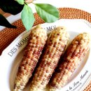 차리농장 | 찰옥수수 맛있게 삶는법 인스턴트팟 삶는시간