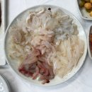 용화물회 | 삼척 맛집 회도 맛있는 용화물회 내돈내산 솔직후기! 모듬회/회덮밥/매운탕