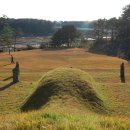 충희공 이인손 묘 이미지