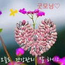 참 좋아요 글이미지 이미지