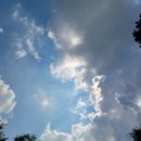 압구정동작은도서관 이미지