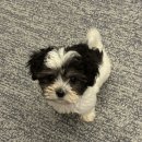 엘로이 동물병원 이미지