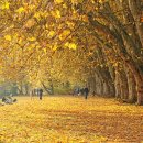 태룡초등학교 이미지