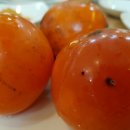 동산가든 이미지