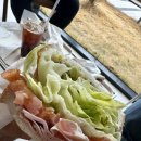 펫힐링센터 | 창원 펫빌리지 반려동물 문화센터 오비오 카페 점심 후기