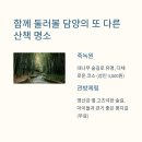 죽녹원 착한 맛집 이미지