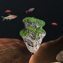 뜨는 돌 이미지