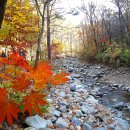 삼둔민박 이미지