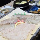 감포별미횟집 | [부산맛집]덕천역 8번 출구 감포횟집 솔직후기 제철회부터 하모회·전어 서비스까지.. 회 좋아한다면...