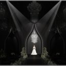 벨라마레 이미지