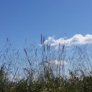 용소폭포1 이미지