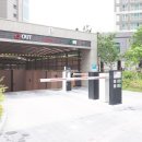 탑플레이스배곧 네이버블로그