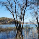 신정행정사사무소 이미지