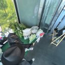 부산지방보훈청 | 전망대 보러 갔다가 뽕 뽑고 온 엑스더스카이 98층 ‘보보의 GO백’ 이색 팝업존 후기