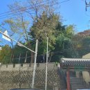 부산진성공원 북문 네이버블로그