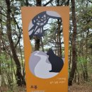 이산치안센터 이미지