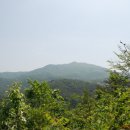 금오2농장 이미지