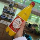 청솔공원 | [경북 청송/주왕산청솔식당] 주왕산 하산푸드 맛집 1위 내돈내산 후기(feat. 주왕산 등산)