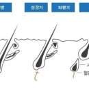 뷰티샵가인