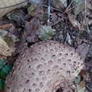 수한농장 이미지