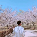 해인 Daum카페