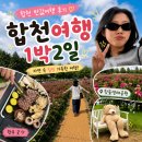 삼화파크빌라 | 합천반값여행 후기 풀빌라부터 핫들생태공원·함벽루까지 직접 다녀온 솔직 후기