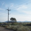 연천통현리지석묘 이미지