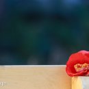 커피에빠지다 이미지