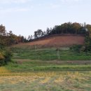 석지농장 이미지