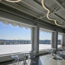 신현로 | 시흥 레인바우 애견카페 내돈내산 실내 실외가능