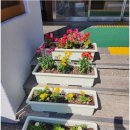 효자1동행정복지센터 이미지