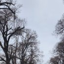 동부가든 이미지